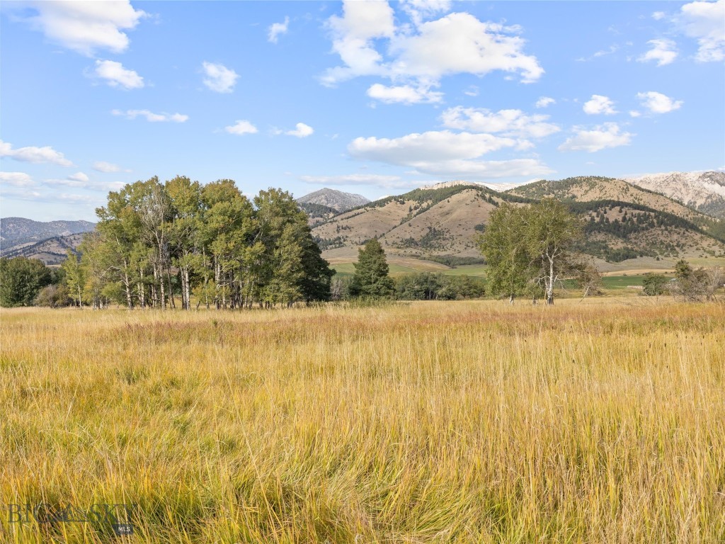 Tbd Springhill Community Road Belgrade, MT 59714 - Photo 38 of 71 Gallery Image 38