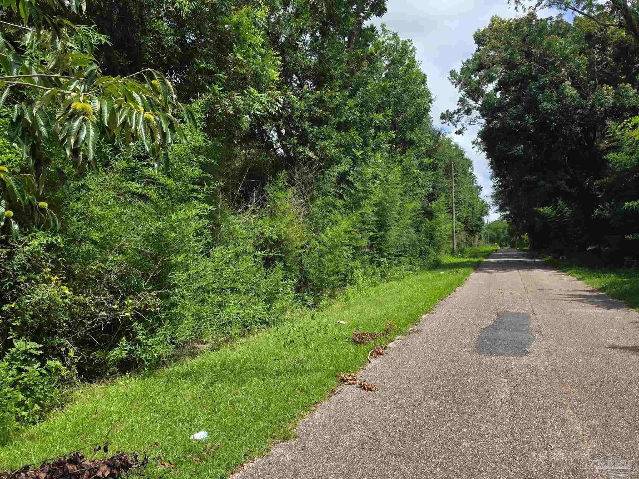 6200 Arthur Brown Road Walnut Hill, FL 32568 - Photo 24 of 36 Gallery Image 24