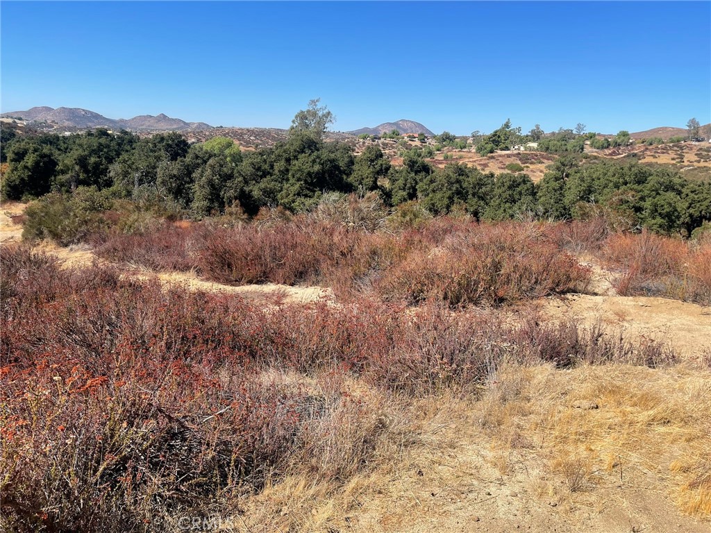 0 Rounder Road Temecula, CA 92592 - Photo 11 of 17