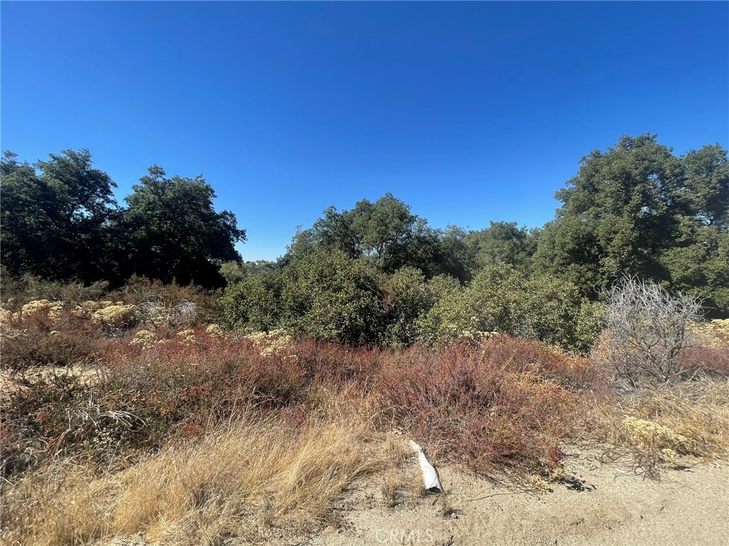 0 Rounder Road Temecula, CA 92592 - Photo 16 of 17