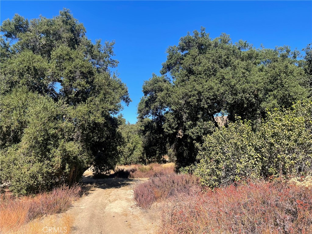 0 Rounder Road Temecula, CA 92592 - Photo 2 of 17