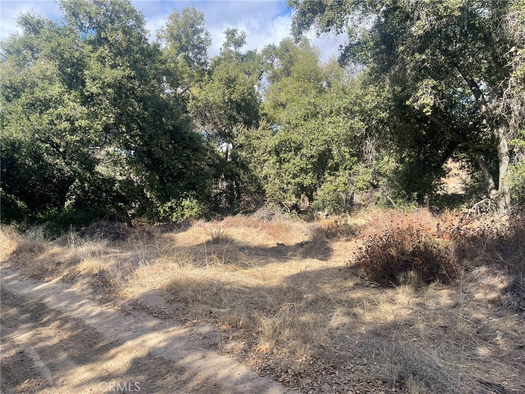 0 Rounder Road Temecula, CA 92592 - Photo 4 of 17