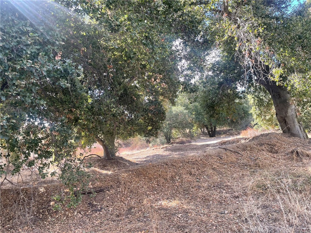 0 Rounder Road Temecula, CA 92592 - Photo 8 of 17