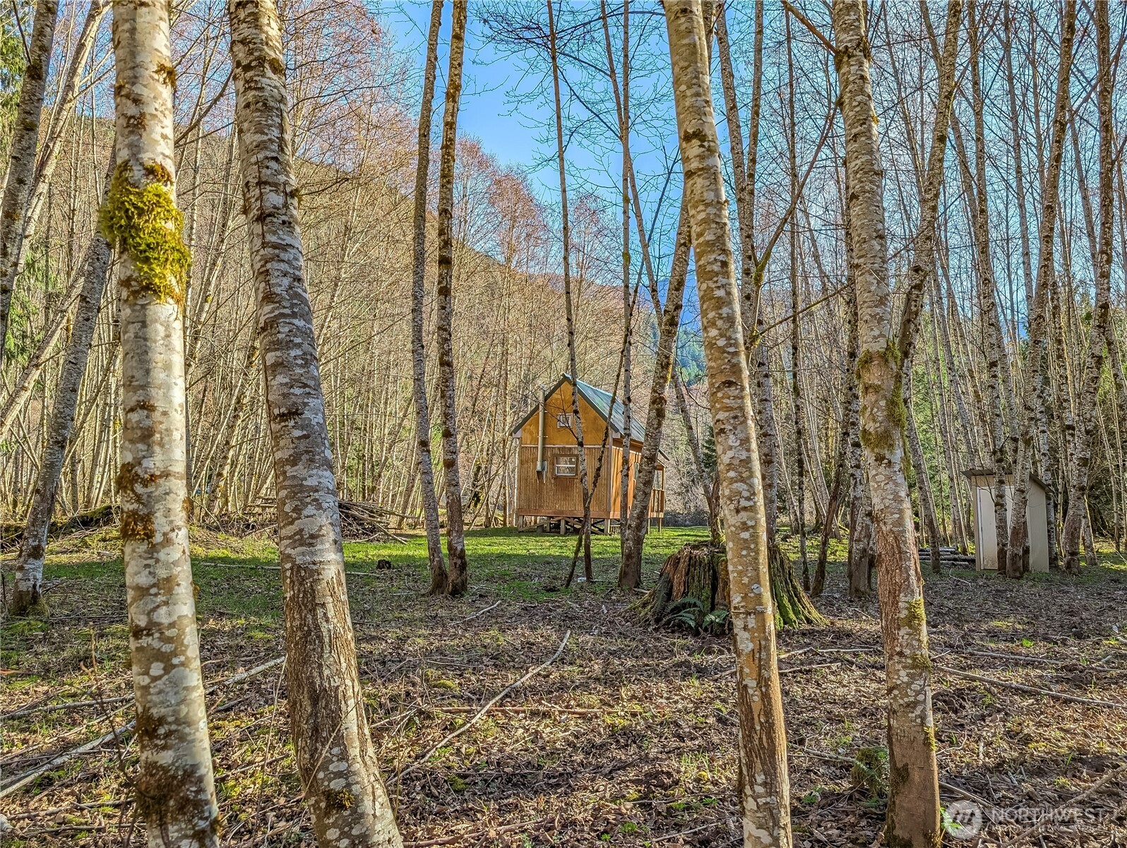 128 Cedar Grove Road Randle, WA 98377 - Photo 27 of 38 Gallery Image 27