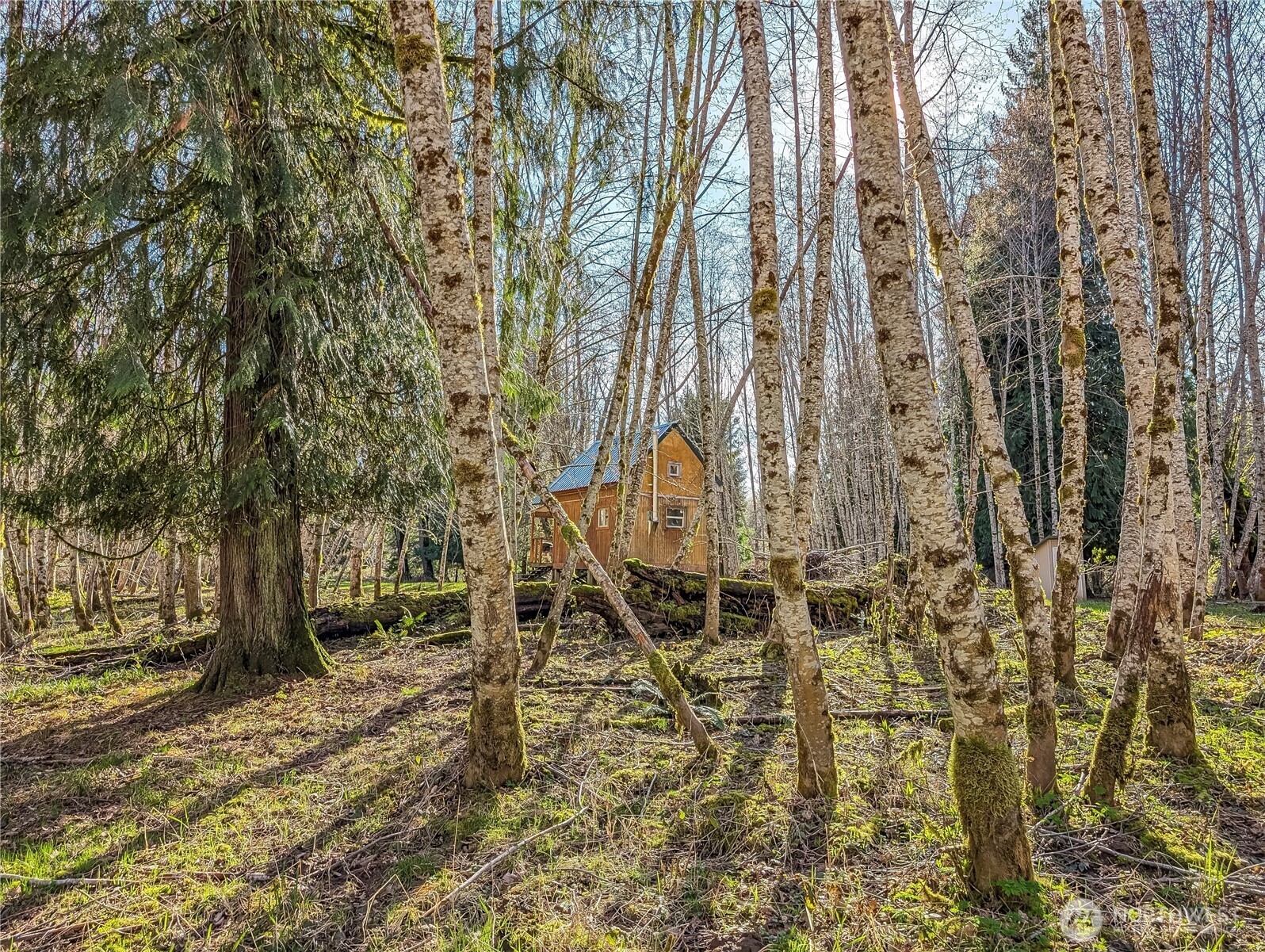 128 Cedar Grove Road Randle, WA 98377 - Photo 30 of 38 Gallery Image 30