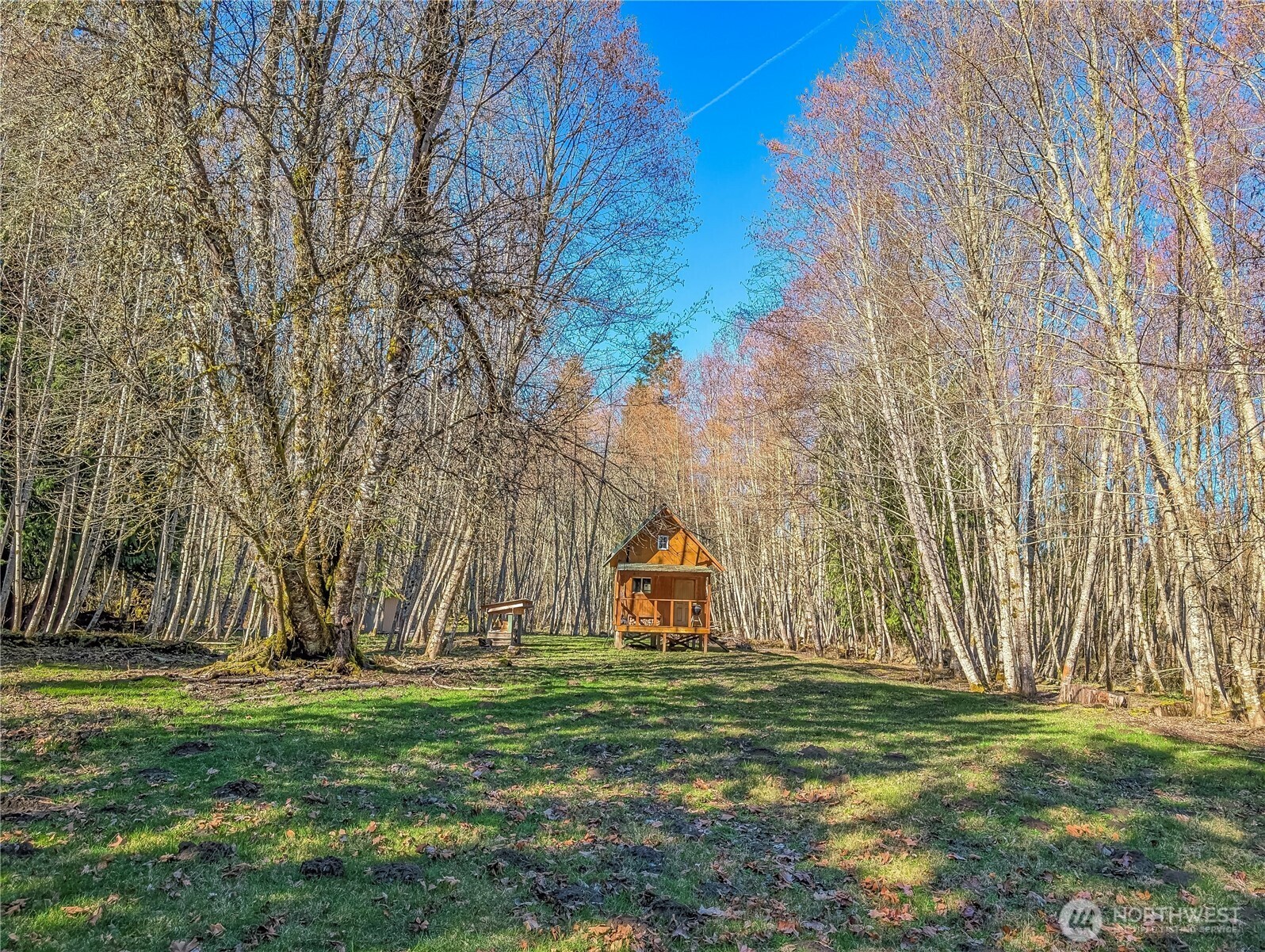 128 Cedar Grove Road Randle, WA 98377 - Photo 31 of 38 Gallery Image 31