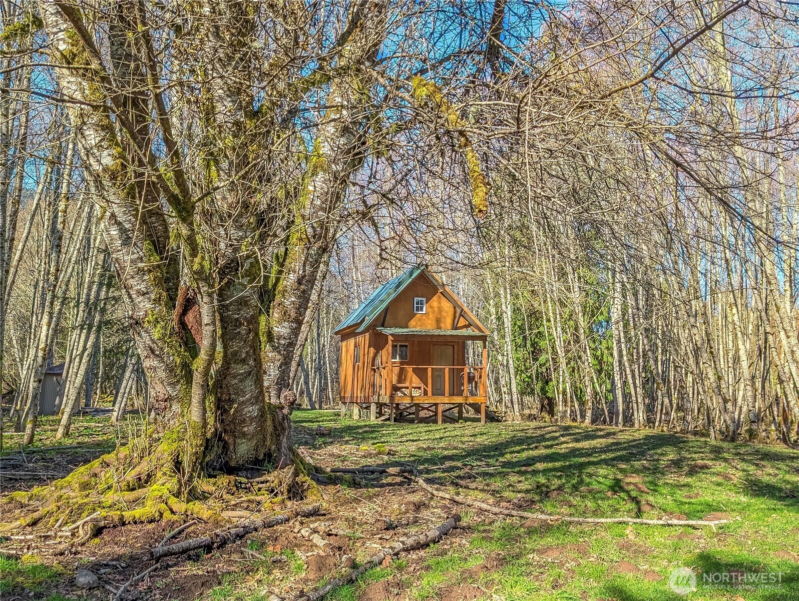 128 Cedar Grove Road Randle, WA 98377 - Photo 35 of 38 Gallery Image 35
