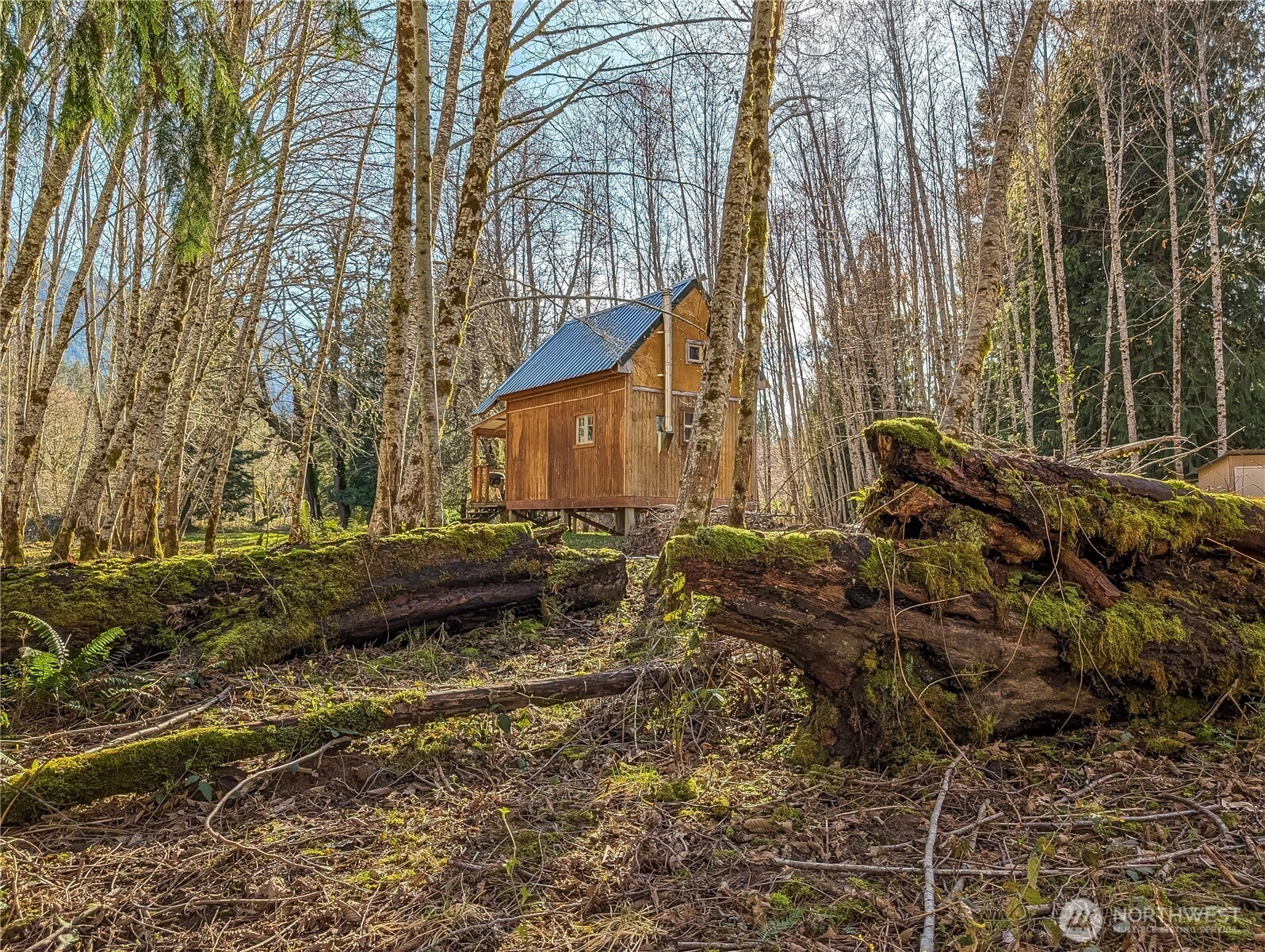 128 Cedar Grove Road Randle, WA 98377 - Photo 38 of 38 Gallery Image 38