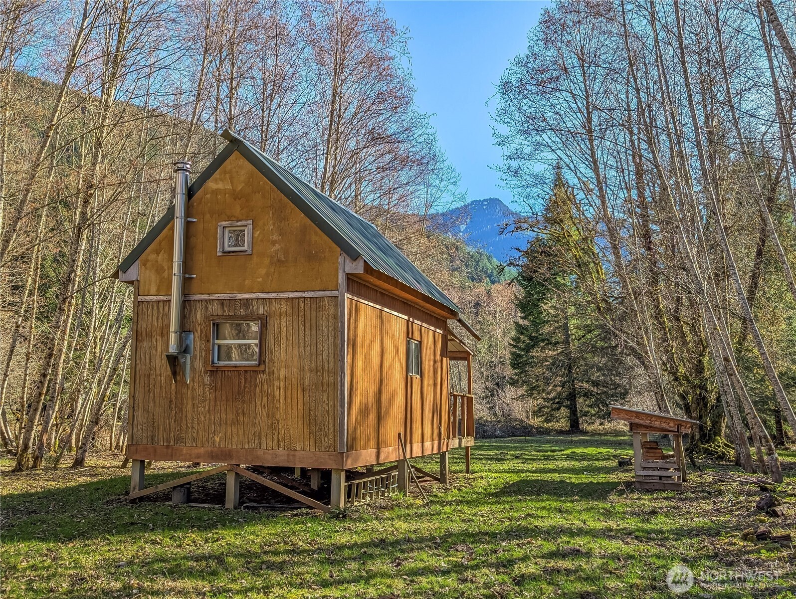 128 Cedar Grove Road Randle, WA 98377 - Photo 4 of 38 Gallery Image 4