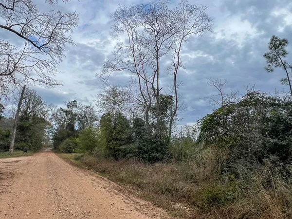 a view of a pathway with a yard