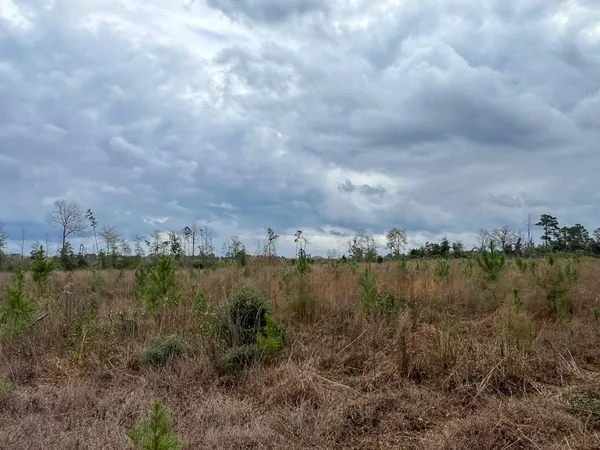 a view of a lake with trees in the background