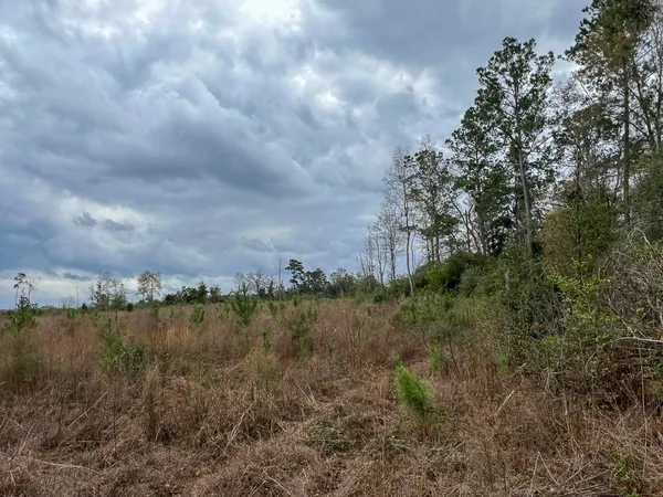 a view of a lake with houses in back