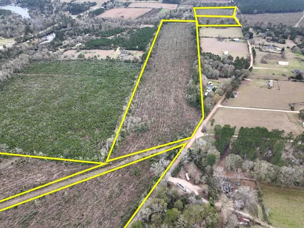 a view of a yard with staircase