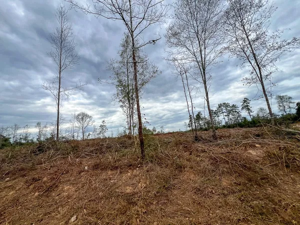 a view of a yard covered in snow