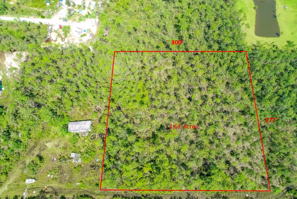 1 Pine Logging Road Wewahitchka, FL 32465 - Photo 2 of 15