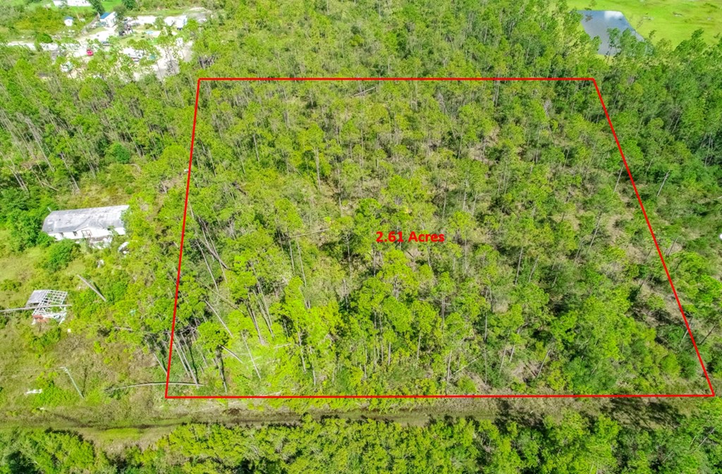 1 Pine Logging Road Wewahitchka, FL 32465 - Photo 3 of 15