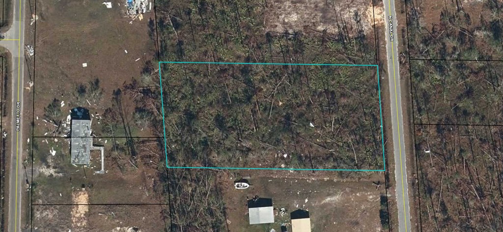 1 Pine Logging Road Wewahitchka, FL 32465 - Photo 4 of 15