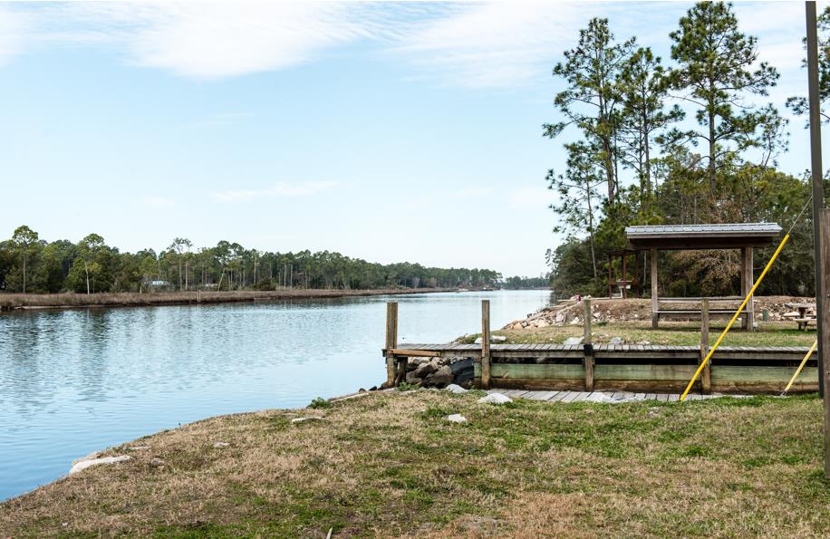 1 Pine Logging Road Wewahitchka, FL 32465 - Photo 8 of 15
