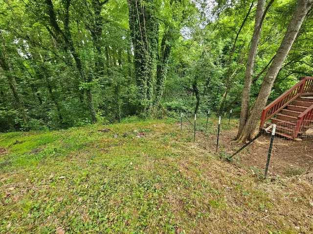 a view of outdoor space and yard