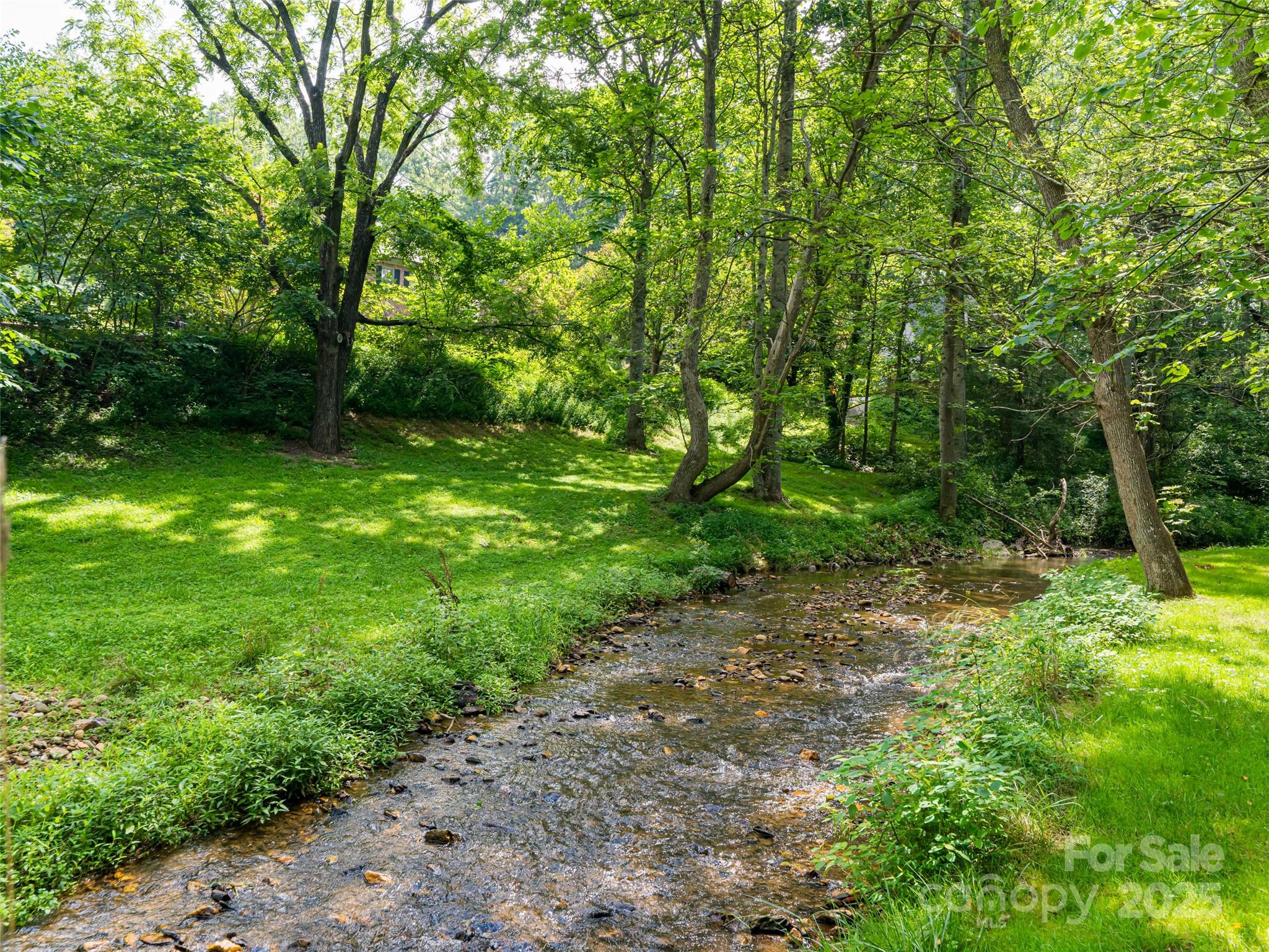 91 Carter Cove Road Asheville, NC 28804 - Photo 43 of 48