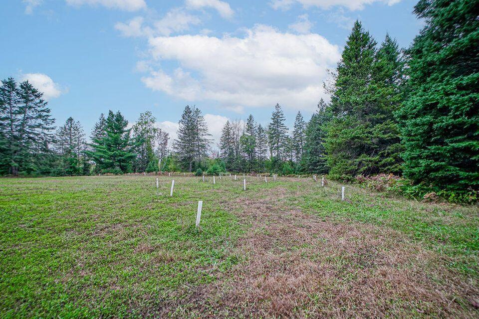 6813 Graham Road Alpena, MI 49707 - Photo 10 of 13 Gallery Image 10