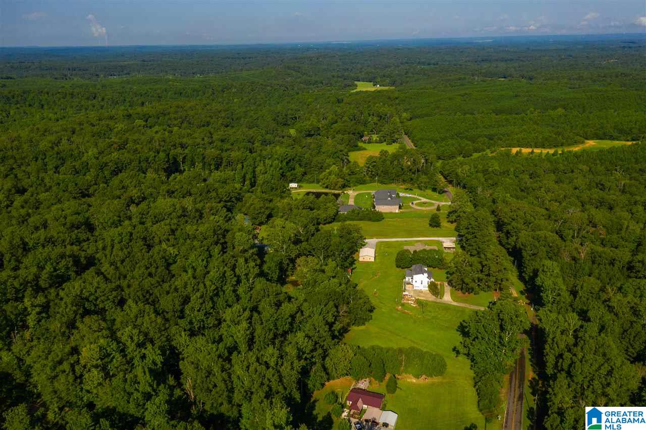 3309 Self Creek Road Pinson, AL 35126 - Photo 37 of 48