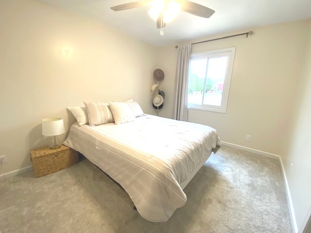 105 Kendall Street Gifford, IL 61847 - Photo 39 of 68
