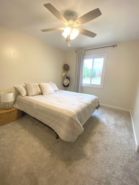 105 Kendall Street Gifford, IL 61847 - Photo 40 of 68