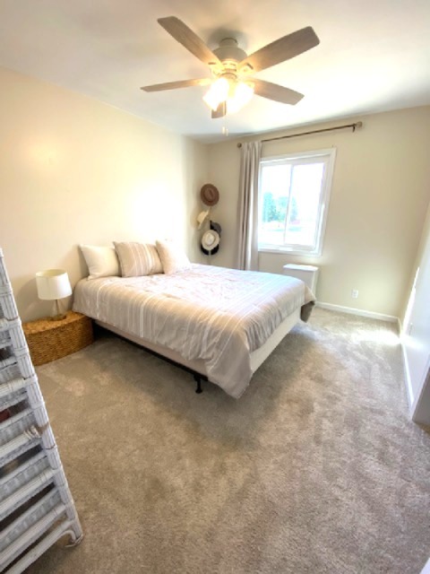 105 Kendall Street Gifford, IL 61847 - Photo 41 of 68