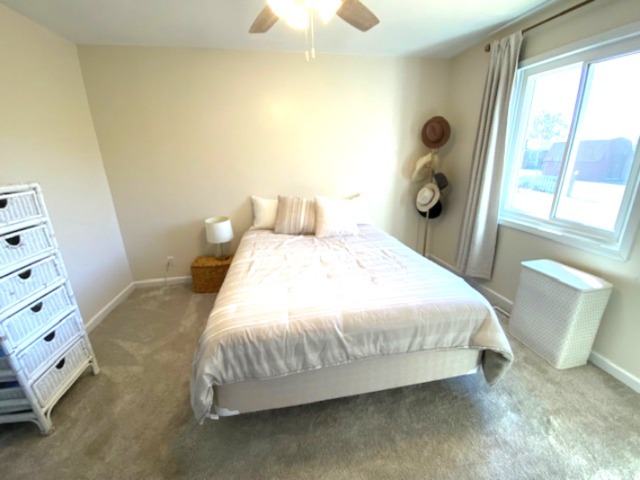 105 Kendall Street Gifford, IL 61847 - Photo 43 of 68