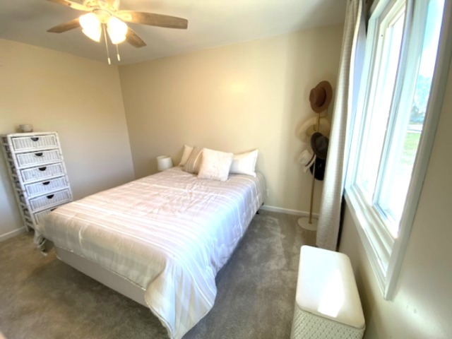 105 Kendall Street Gifford, IL 61847 - Photo 44 of 68