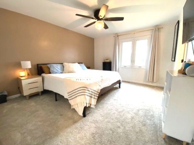 105 Kendall Street Gifford, IL 61847 - Photo 53 of 68