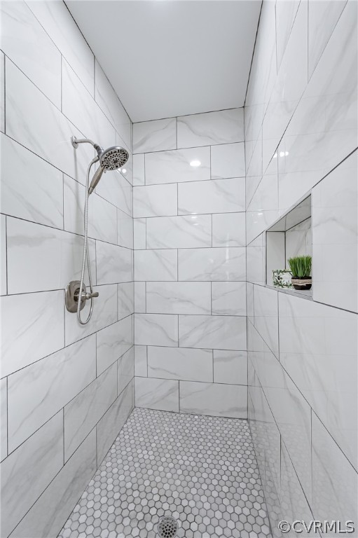 3163 Sandy Hook Road Sandy Hook, VA 23153 - Photo 15 of 37 a bathroom with a shower