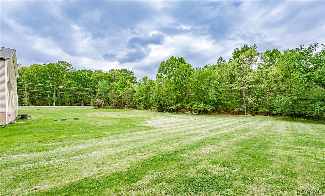 3163 Sandy Hook Road Sandy Hook, VA 23153 - Photo 35 of 37 a backyard of a house with lots of green space and plants