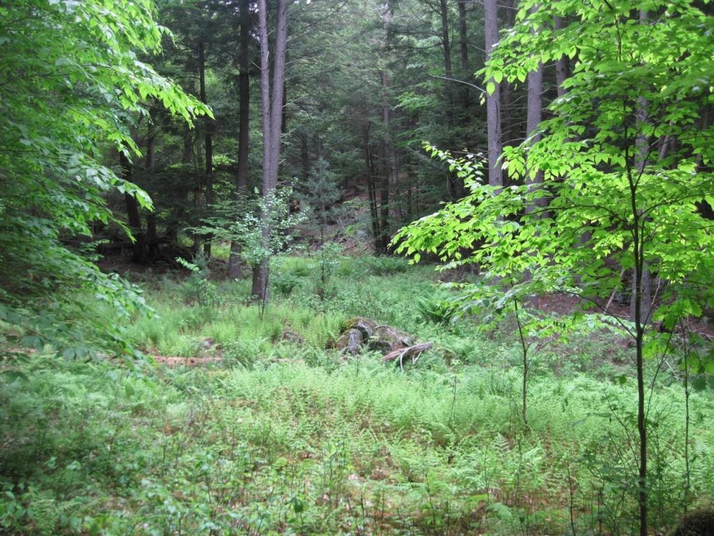 0 West Fairlee Road Fairlee, VT 05045 - Photo 5 of 6