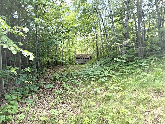 23506 Bazanis Road Cohasset, MN 55721 - Photo 13 of 15