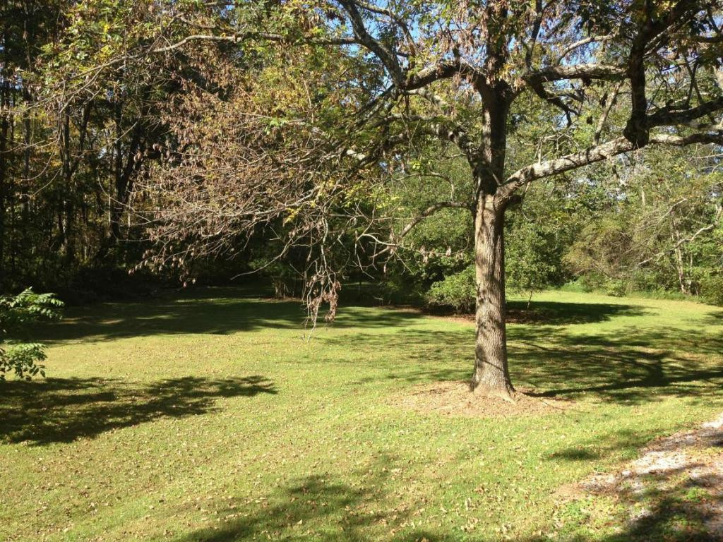 339 Roy Martin Road Johnson City, TN 37615 - Photo 8 of 24 Photo 8