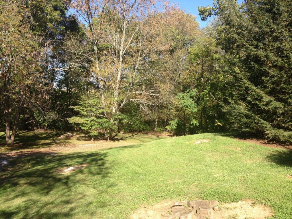 339 Roy Martin Road Johnson City, TN 37615 - Photo 9 of 24 Photo 9
