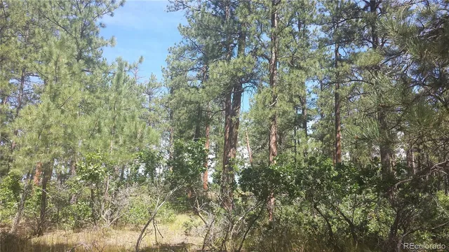 a view of a yard in a yard