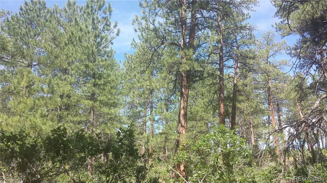 a view of lake with green space