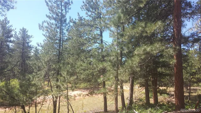 a backyard of a house with lots of green space and trees