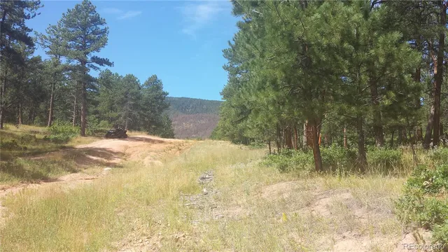 a view of large yard with green space