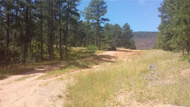 a view of yard covered with snow in front of house