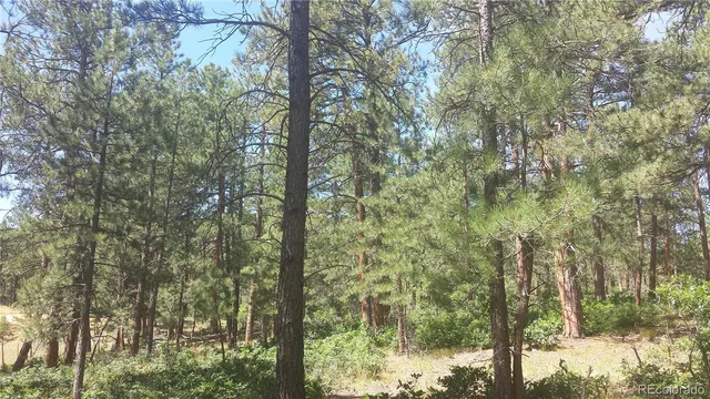 $49,950 | 4467 Delaware Drive, Larkspur, CO 80118