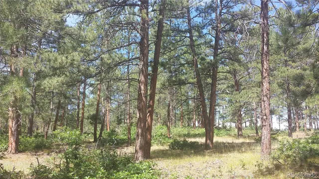 $49,950 | 4467 Delaware Drive, Larkspur, CO 80118