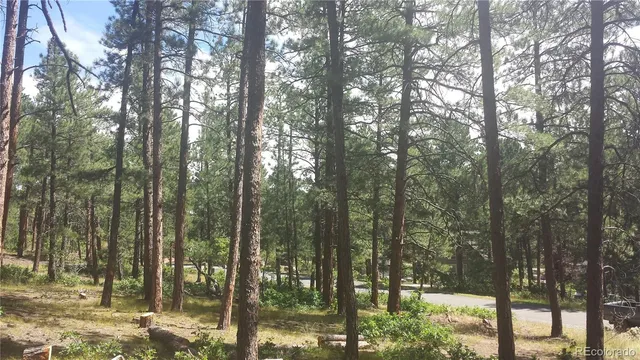 $49,950 | 4467 Delaware Drive, Larkspur, CO 80118