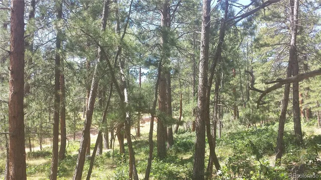 $49,950 | 4467 Delaware Drive, Larkspur, CO 80118