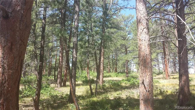 $49,950 | 4467 Delaware Drive, Larkspur, CO 80118