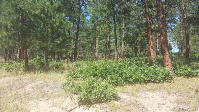a view of outdoor space and green space