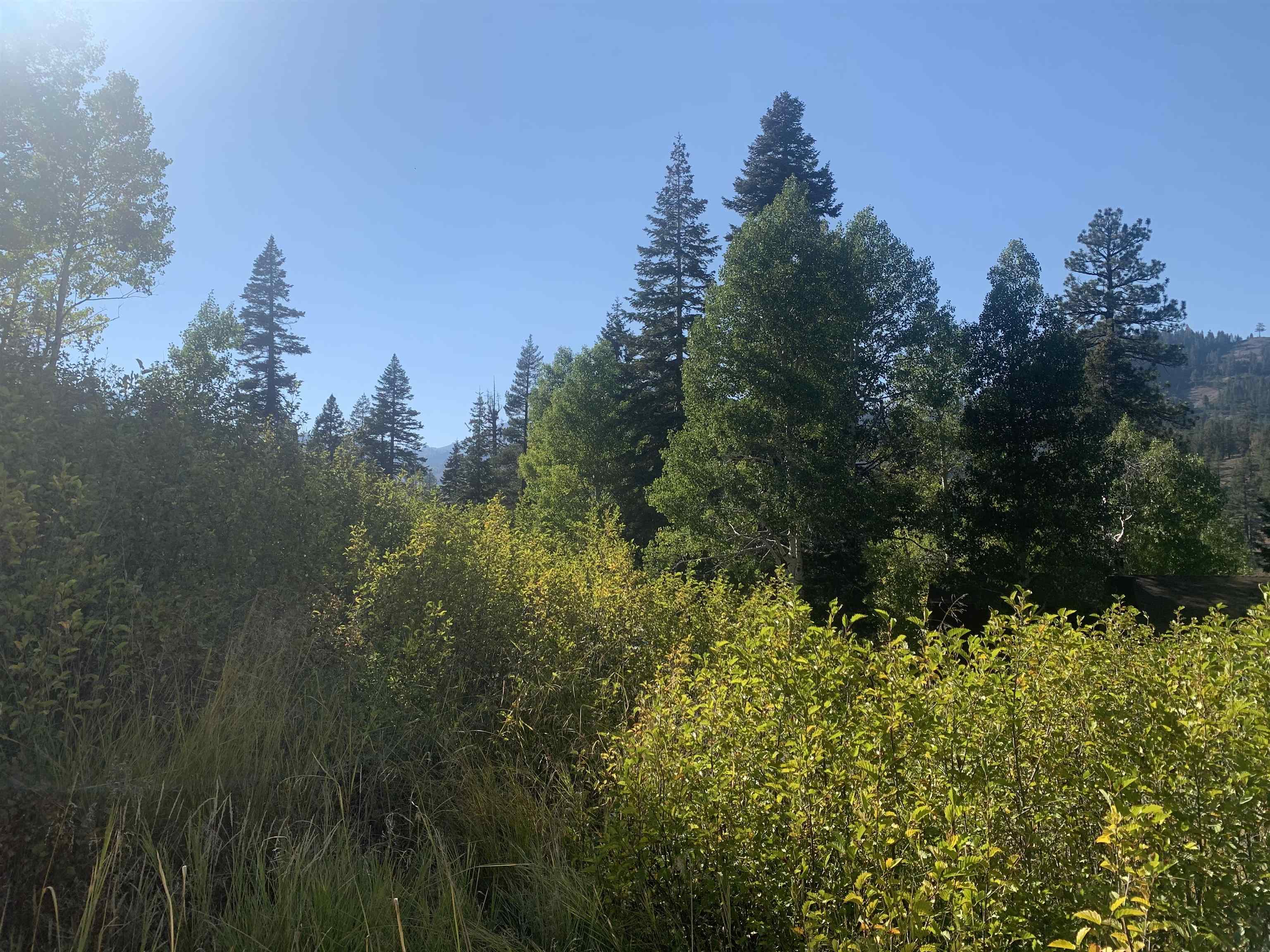 1051 Snow Crest Road Alpine Meadows, CA 96146 - Photo 12 of 14 Gallery Image 12